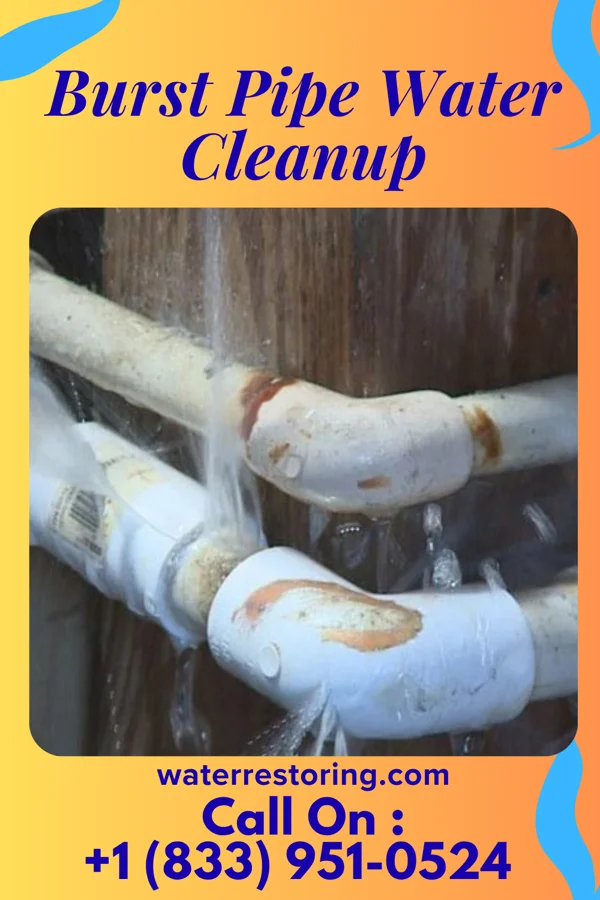 Burst Pipe Water Cleanup in Brodhead, KY
