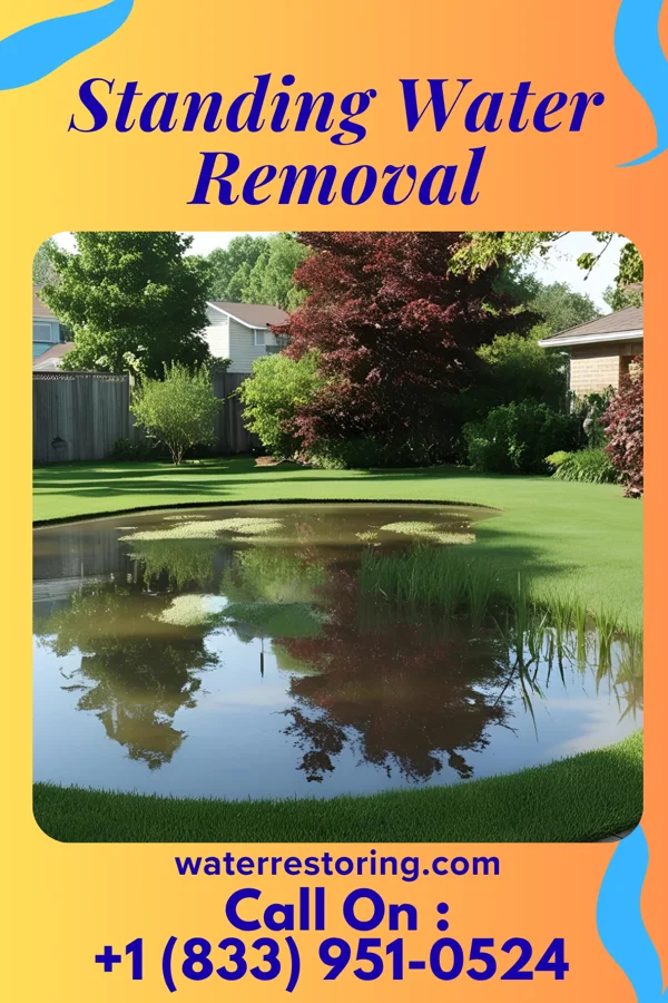 Standing Water Removal in Brodhead, KY